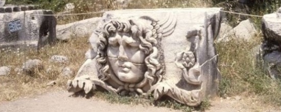 Medusa